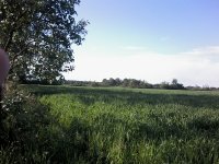 20160507_170154.jpg