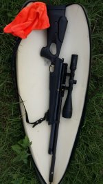 image.jpeg