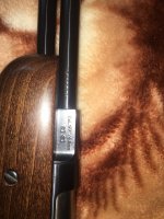 IMG_0497.jpg5.jpg