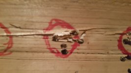 20161009_162308.jpg