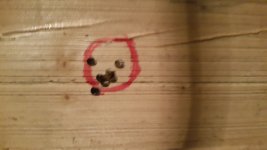 20161009_162256.jpg