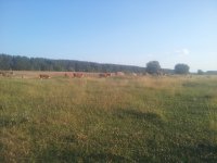 20170706_185330.jpg