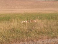 20170706_190536.jpg