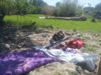 20170707_132736.jpg