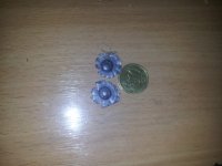 20170709_163830.jpg