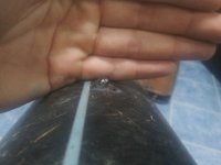 20170710_195357.jpg