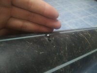 20170710_195318.jpg