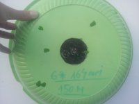20170710_195001.jpg
