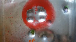 20170723_184244.jpg