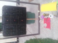 20170803_195346.jpg