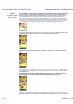 Page_2_American_Airguns_Make_Your_Own_Fi-1.jpg
