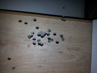 20171027_221917.jpg