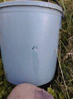 IMAG2262_50.jpg