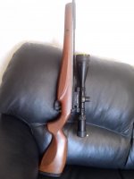 CAM00017.jpg