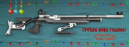 walther-ng-sm.jpg