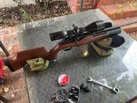 IMG_2024-09-26-171250.jpeg