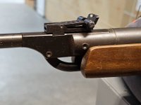 IMG-20241031-WA0068.jpg IMG-20241031-WA0068.jpg