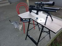 Sv2.JPG