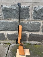 IMG_1982.jpeg