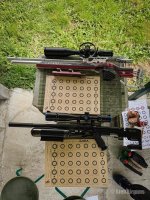 IMG_4220.jpeg