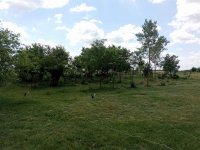 IMG_20260607_110557_363.JPG