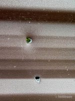 IMG_5971.jpeg