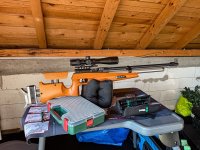 IMG_8820.jpeg