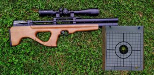 Artemis P15.jpg