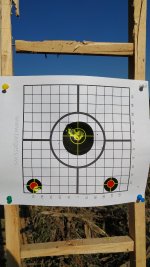 50m 5 kom.jpg