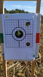 60m 1.03g Artemis P15.jpg