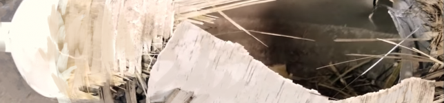 sc1sas.PNG