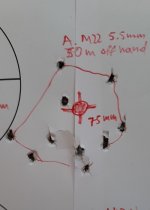 m22-75m-dianahpp-offhand.jpg