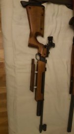 cz ham.jpg