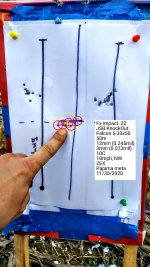 target_image.jpg