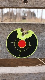 20201216_145636_copy_567x1008.jpg