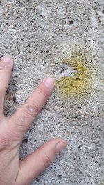 20201216_154042_copy_567x1008.jpg