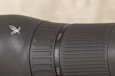 IMG_6567.JPG