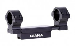 Diana ZR.jpg