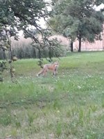 IMG-20210608-WA0001.jpg