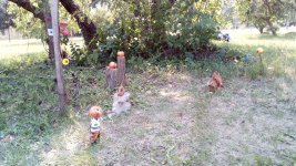IMG_20210724_160001.jpg