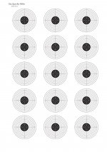 6yd-air-rifle.jpg