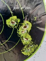 fx dr 95m spot on.jpg