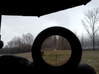 IMG_20210319_085044.jpg